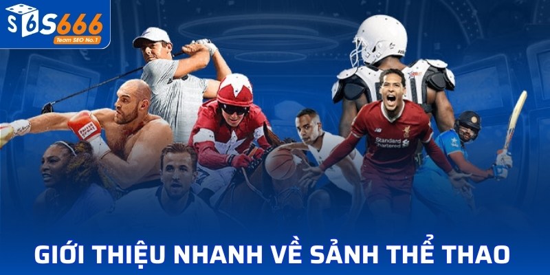 Giới thiệu nhanh về sảnh thể thao 